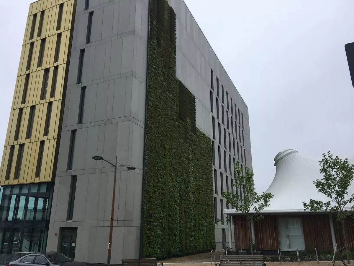 The Core's living wall (Image: Staff)